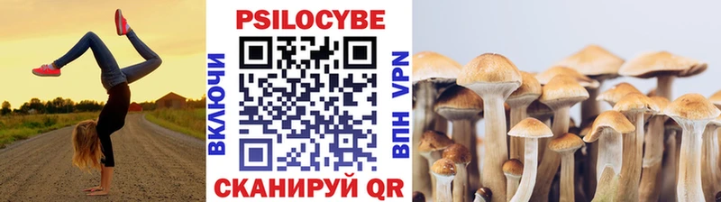 МЕГА сайт Зарайск Галлюциногенные грибы GOLDEN TEACHER купить наркоту